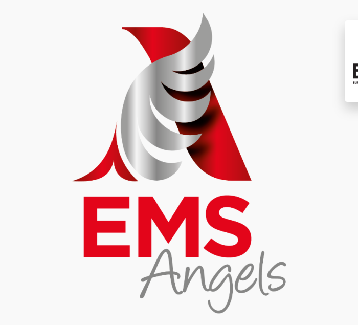 ems_award_logo@3x